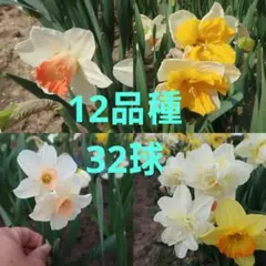 ふりかけ様 リクエスト 2点 まとめ商品