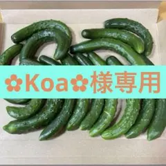✿Koa✿様専用