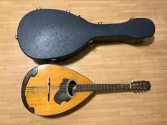 鈴木バイオリン　マンドセロMC-836 Made in Japan希少 2026年最新】鈴木バイオリン マンドリンの人気アイテム - メルカリ