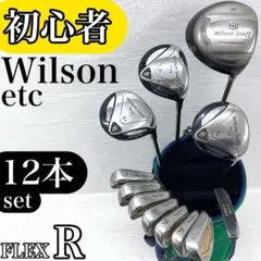 【初心者様推奨‼】 Wilson ウィルソン メンズ ゴルフクラブ セット