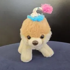 GUND 世界一かわいい犬 Boo ぬいぐるみ バースデーハット