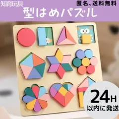型はめパズル　知育玩具　モンテッソーリ　積み木　おままごと　木製　絵合わせ　新品のサムネイル