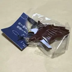 Item thumbnail for item c4b7d179-0460-491f-85e3-322f2394ac30