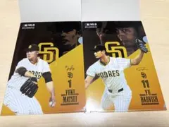 ダルビッシュ有　MLBクリアファイル　侍ジャパン　WBC パドレス　松井裕樹