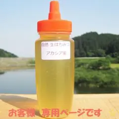 パンダ様専用です(*^^*)　アカシア蜜５本