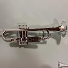 2025年最新】tiger トランペットの人気アイテム - メルカリ