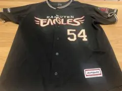 Item thumbnail for item 33495df2-2fd3-44bc-8d15-81e49422a9a4