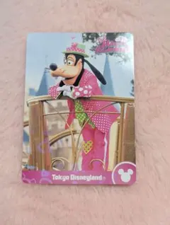 グーフィー カード コレクションカード ミニーマウス パルパルーザ