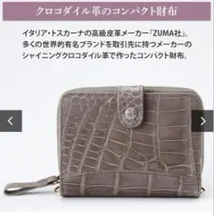 Item thumbnail for item ec64410e-4f45-45db-97e0-d52d9cb8bb05