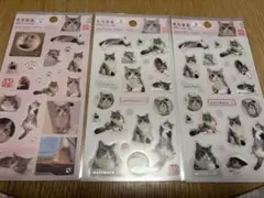 もちまるデザインシールのサムネイル