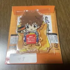 ⚠️ 家庭教師ヒットマンREBORN ひこくじ ミニクリアスタンド ツナ&リボーン