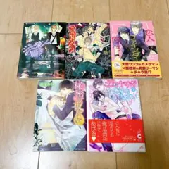 【内容に良い意味で偏りあり】BL小説5冊セット【まとめ売り】