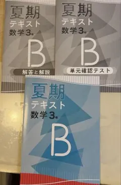 早稲田アカデミー 小6 上位校への算数 国語 社会 春期 テキスト - メルカリ