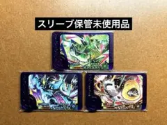 ポケモンフレンダ　テツノイサハ　テツノイワオ　テツノカシラ　スーパートレジャー