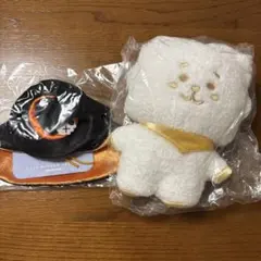 BT21 たっとん　コスチューム　ハロウィン　魔女　bts RJ JIN