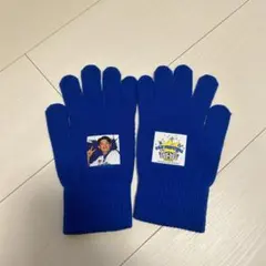 山本祐大　手袋　横浜DeNAベイスターズ