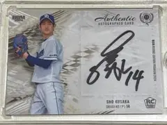 Item thumbnail for item 662654ef-0862-447f-80ae-0c32e2a09210