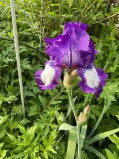 taku様 リクエスト 2点 まとめ商品