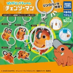 ポチタ つながリング