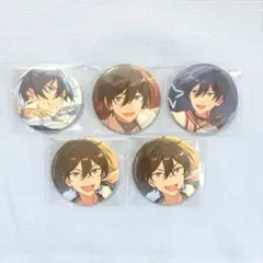 あんスタ 氷鷹北斗 コレクション 缶バッジ Oct casual 12点セット