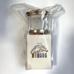 美少年　ペンライト　Gates　2024　ACEes KEY TO LIT