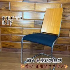 2026年最新】tecta b17の人気アイテム - メルカリ