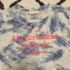 【ハワイ購入】アバクロ　Abercrombie Tシャツ 15/16