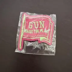 岩田剛典 RAISE THE FLAG ガチャ ワッペンバッジ