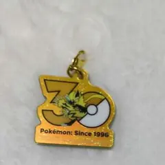ポケモン ポケチャーム30周年ロゴマスコット ゼラオラ