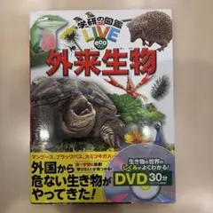 外来生物