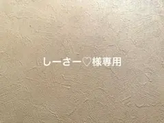 しーさー♡様専用・*:.ღパラコードスマホハンドストラップ