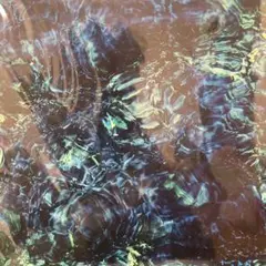 青葉市子Luminescent Creatures 初回限定（デラックス）