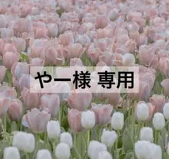 【やー様 専用】