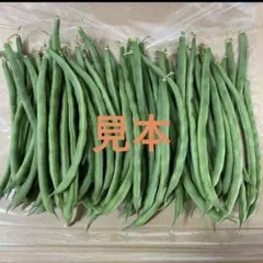 いんげん　700グラム　即日発送のサムネイル