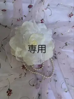 専用