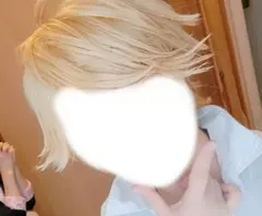 ！10/20迄！ミラキュラス　アドリアン　コスプレ　ウィッグ　衣装（上）　指輪 10/20迄！ミラキュラス アドリアン コスプレ ウィッグ 衣装（上