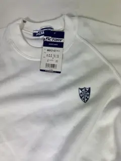 Item thumbnail for item caea00ae-ba6b-4727-81bd-256907e017ce