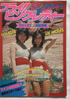 フライ!!ピンク・レディ ラスベガス公演総特集/昭和53年発行/ポスター欠品