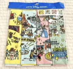 ディズニー タオル ミニタオル4枚　ディズニーリゾート 限定 ミッキー ミニー