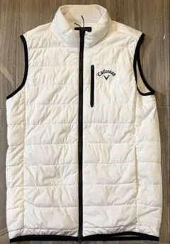 Item thumbnail for item 62e3a0b6-559c-4979-a478-5e3d2ab51a71