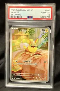 2026年最新】psa10 わんぱちの人気アイテム - メルカリ