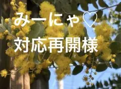 みーにゃ♡対応再開様専用