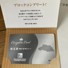 関東道の駅記念きっぷセット 道の駅特別記念きっぷ（関東）他通常きっぷ15枚セット - メルカリ