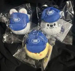 stray kids KARMA POP UP セット　skzoo