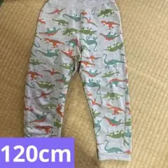 恐竜柄ズボン♡120cmのサムネイル