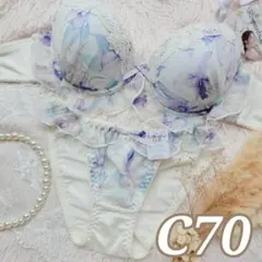 №1452【C70】ケミカルフルーロンチュールブラジャー&フルバックショーツ