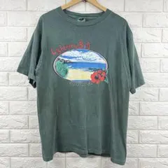 USA製 90s Lightning Bolt Tシャツ L オールドサーフのサムネイル