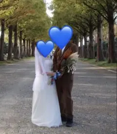 ぴこ様専用 ホワイトウェディングドレス ベール付き