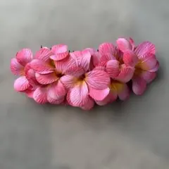 Item thumbnail for item 2b8e24fe-5355-4c07-a41e-b3503208bc7d