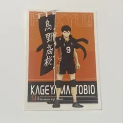 ハイキュー!! I.G STORE 特典 ポストカード（影山飛雄）